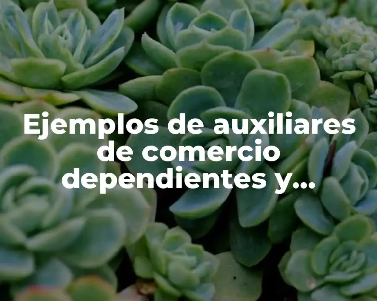 Ejemplos de auxiliares de comercio dependientes y Significado