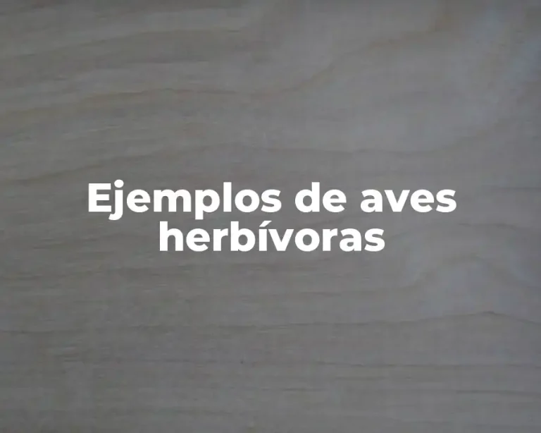 Ejemplos de aves herbívoras