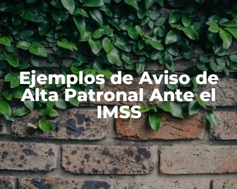 Ejemplos de Aviso de Alta Patronal Ante el IMSS
