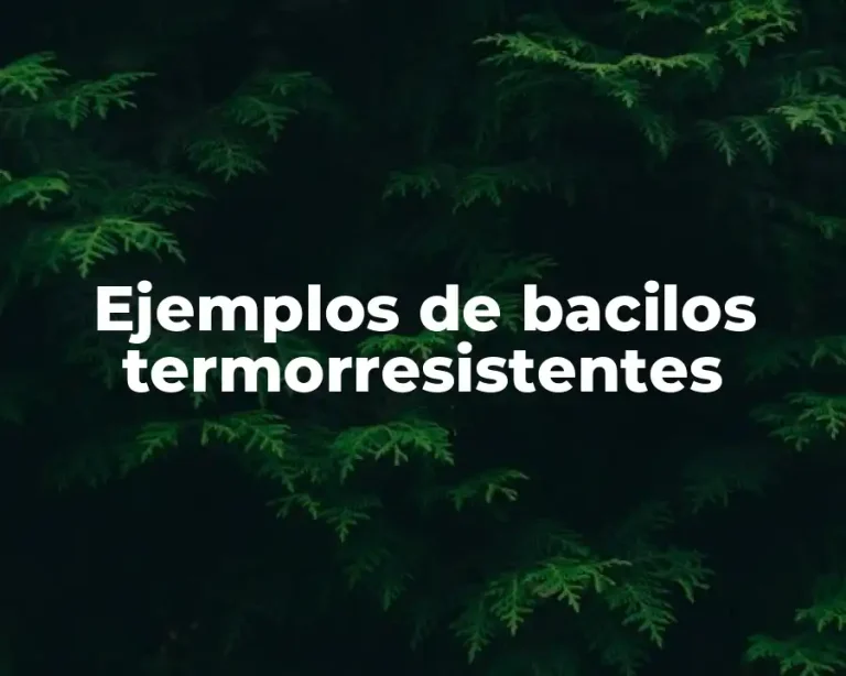 Ejemplos de bacilos termorresistentes