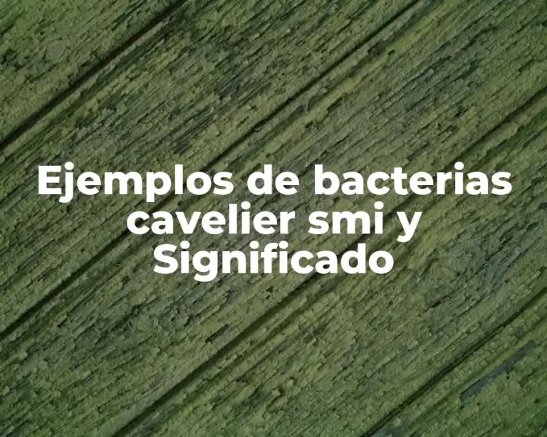 Ejemplos de bacterias cavelier smi y Significado