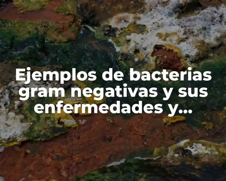 Ejemplos de bacterias gram negativas y sus enfermedades y Significado