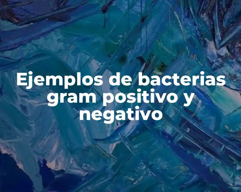 Ejemplos de bacterias gram positivo y negativo