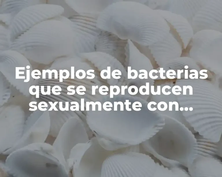 Ejemplos de bacterias que se reproducen sexualmente con nombres y Significado