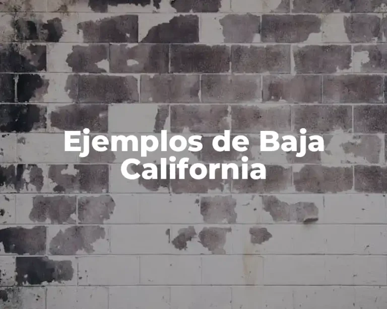 Ejemplos de Baja California