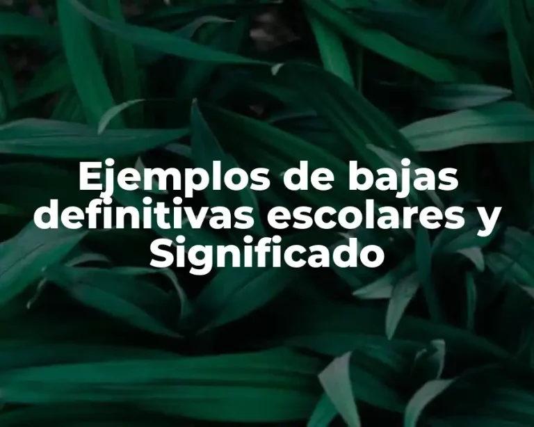 Ejemplos de bajas definitivas escolares y Significado