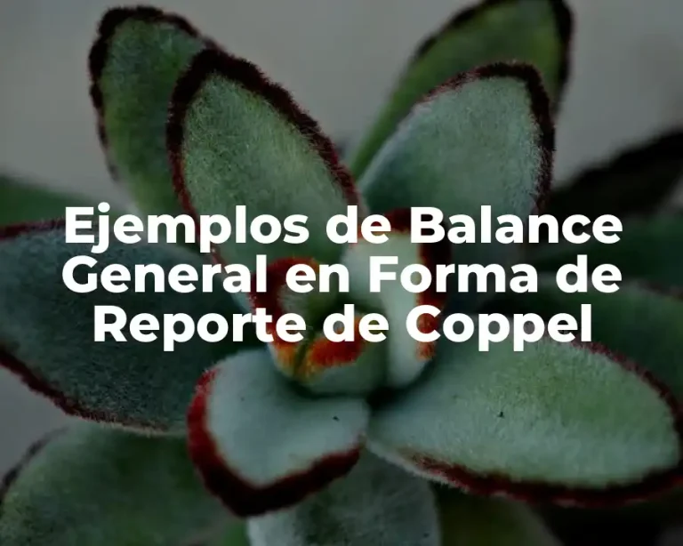 Ejemplos de Balance General en Forma de Reporte de Coppel