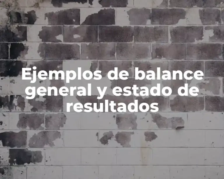 Ejemplos de balance general y estado de resultados