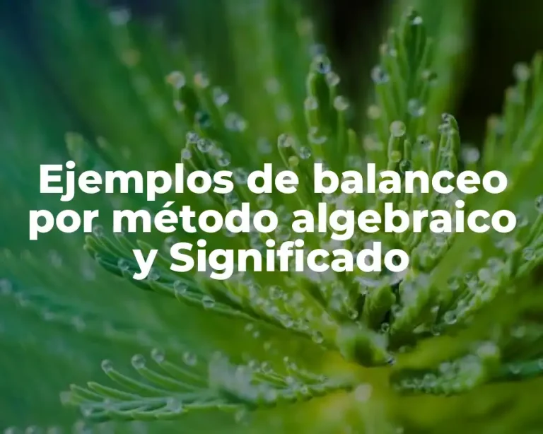 Ejemplos de balanceo por método algebraico y Significado