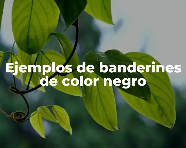 Ejemplos de banderines de color negro