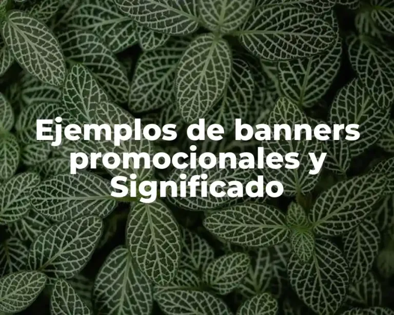 Ejemplos de banners promocionales y Significado