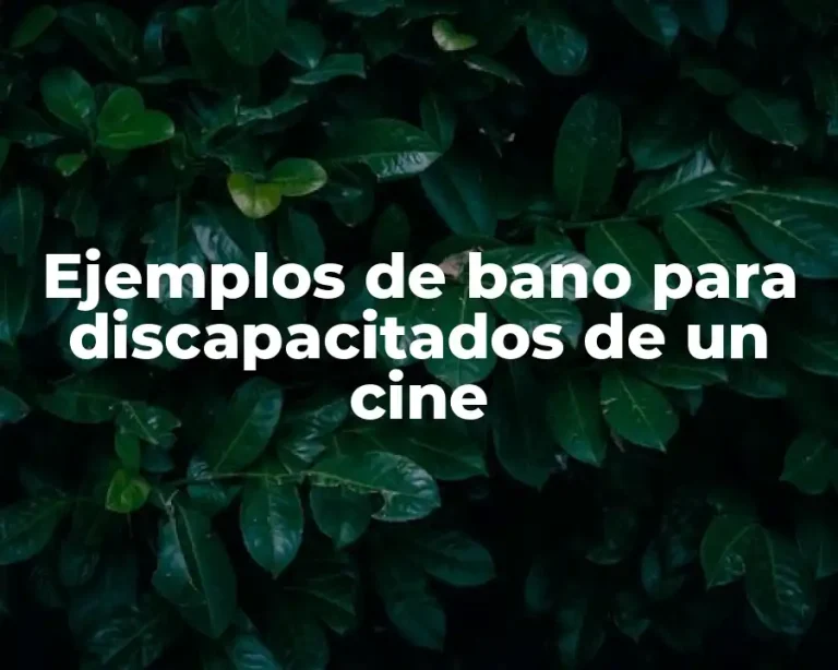 Ejemplos de bano para discapacitados de un cine