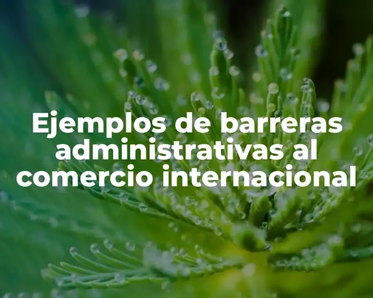 Ejemplos de barreras administrativas al comercio internacional