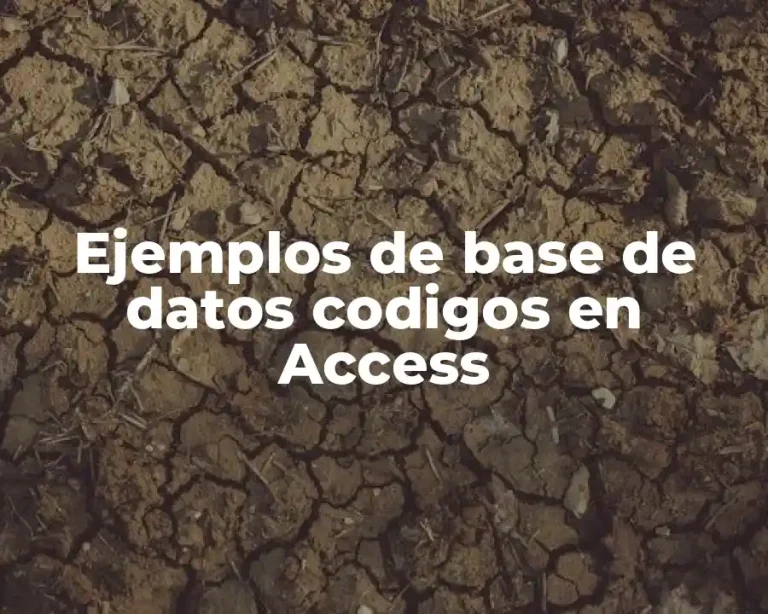 Ejemplos de base de datos codigos en Access