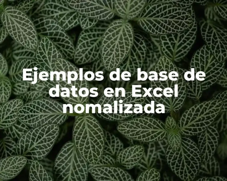 Ejemplos de base de datos en Excel nomalizada