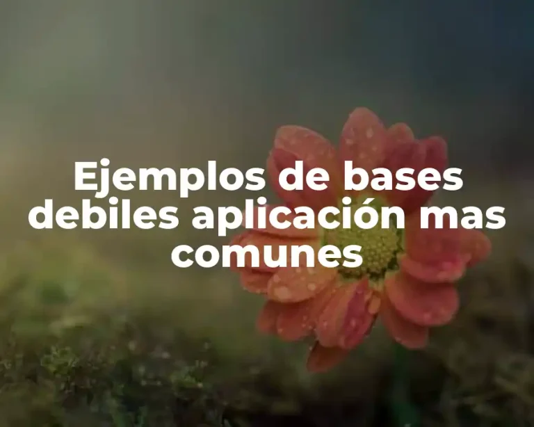 Ejemplos de bases debiles aplicación mas comunes