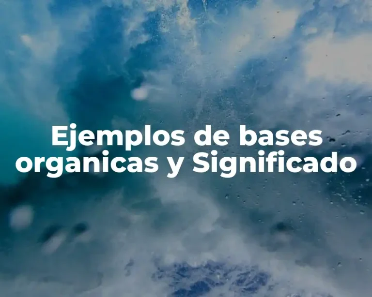 Ejemplos de bases organicas y Significado