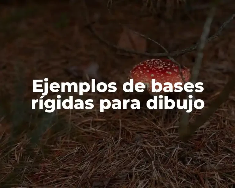 Ejemplos de bases rígidas para dibujo