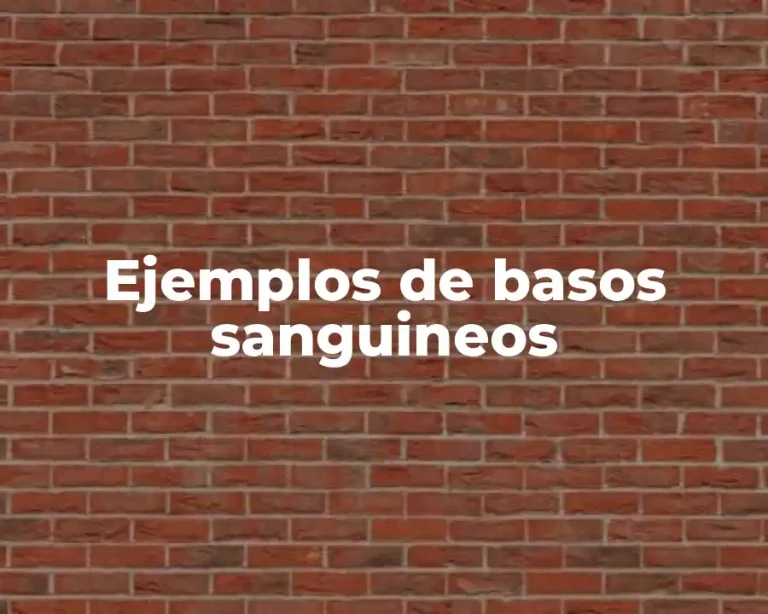 Ejemplos de basos sanguineos