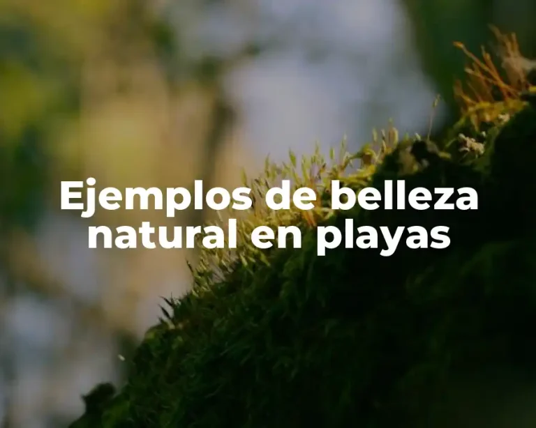 Ejemplos de belleza natural en playas