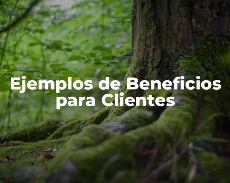 Ejemplos de Beneficios para Clientes