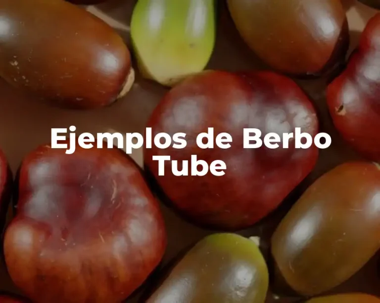 Ejemplos de Berbo Tube