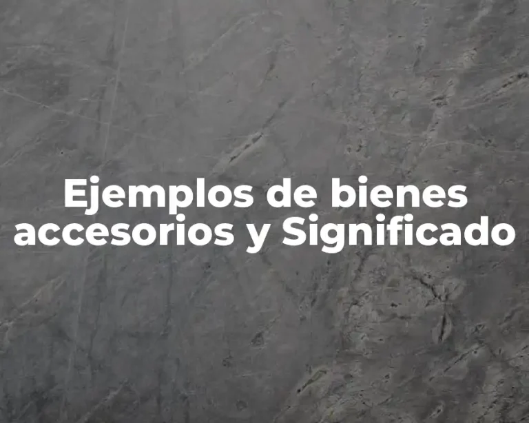 Ejemplos de bienes accesorios y Significado