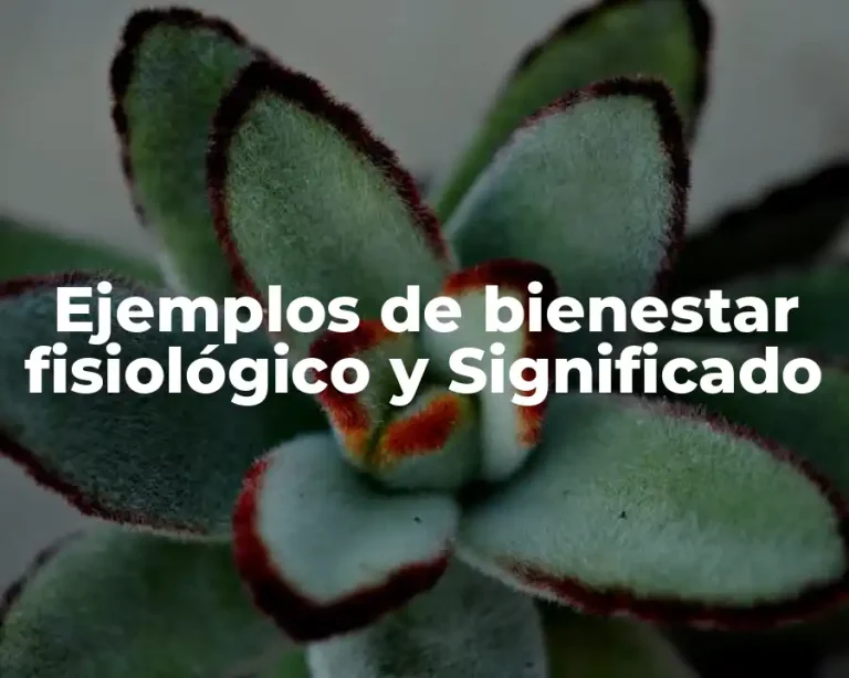 Ejemplos de bienestar fisiológico y Significado