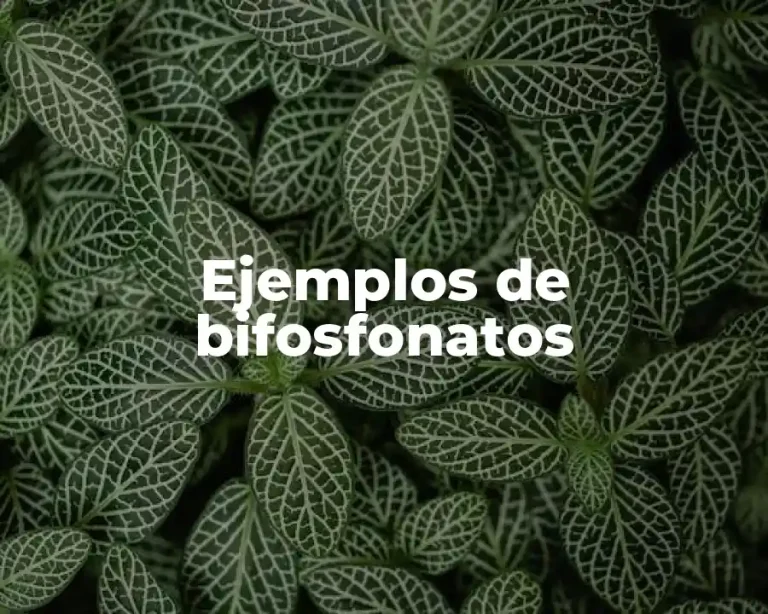 Ejemplos de bifosfonatos