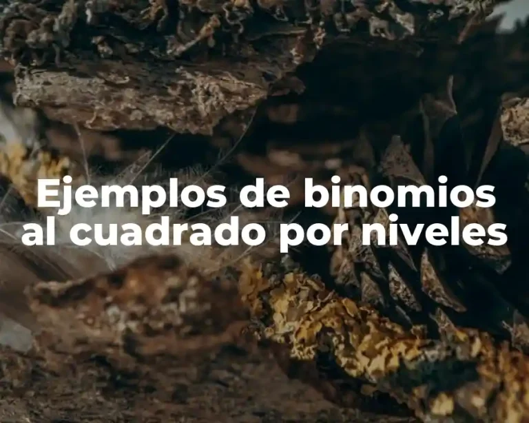 Ejemplos de binomios al cuadrado por niveles