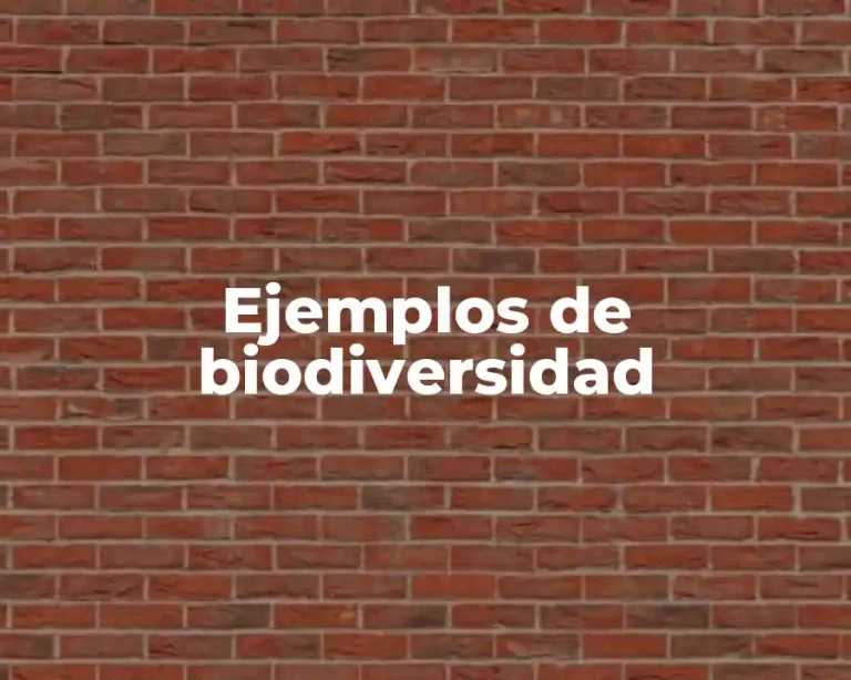 Ejemplos de biodiversidad