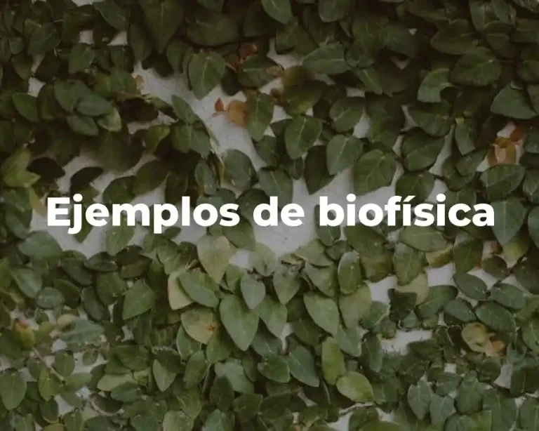 Ejemplos de biofísica