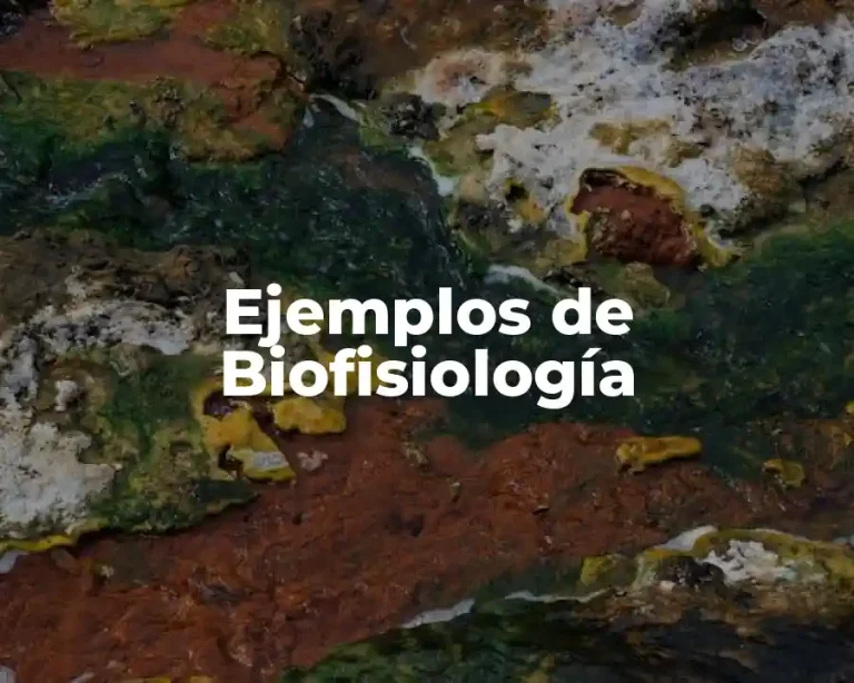 Ejemplos de Biofisiología