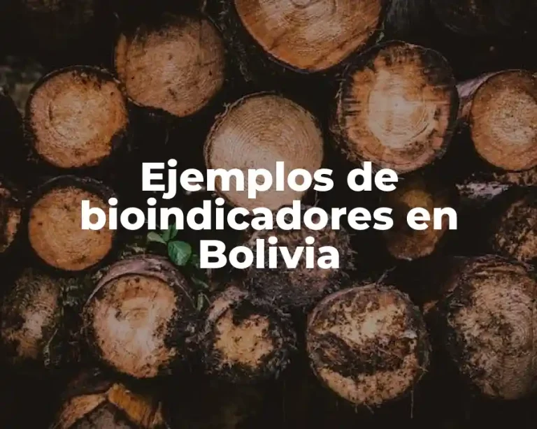 Ejemplos de bioindicadores en Bolivia