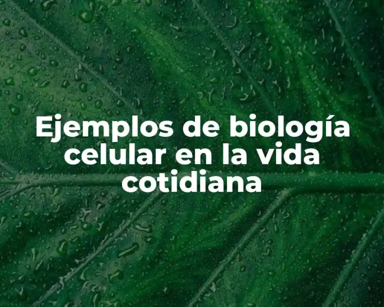 Ejemplos de biología celular en la vida cotidiana