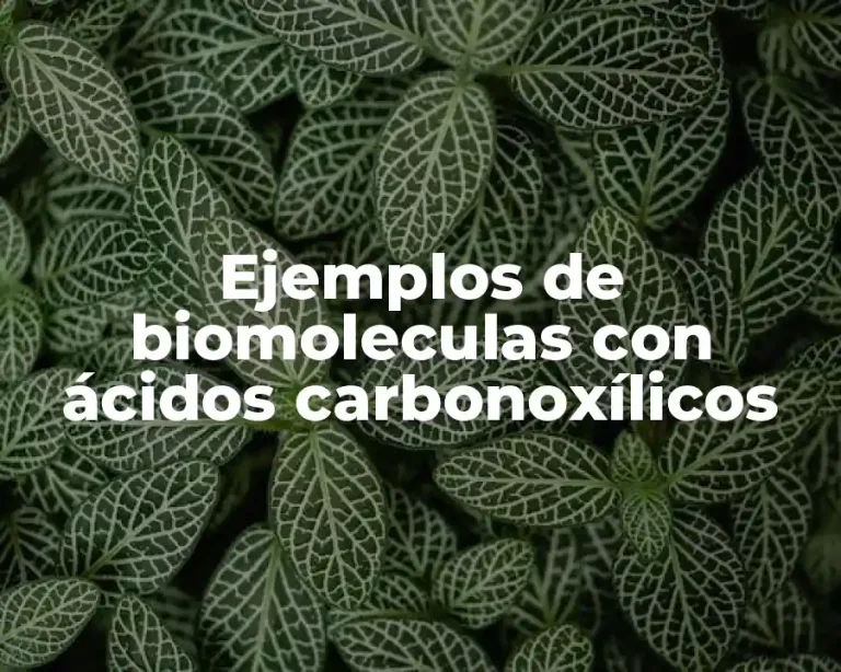 Ejemplos de biomoleculas con ácidos carbonoxílicos