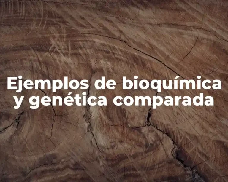 Ejemplos de bioquímica y genética comparada