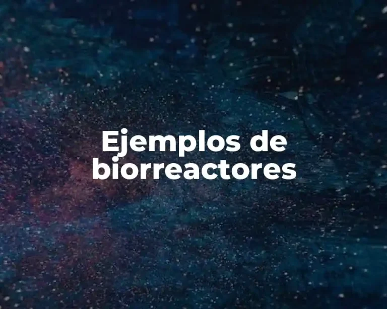 Ejemplos de biorreactores