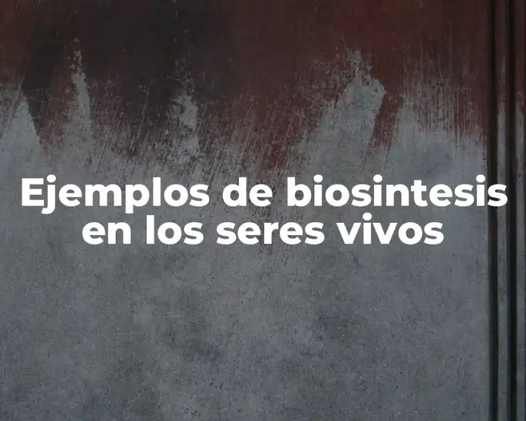 Ejemplos de biosintesis en los seres vivos