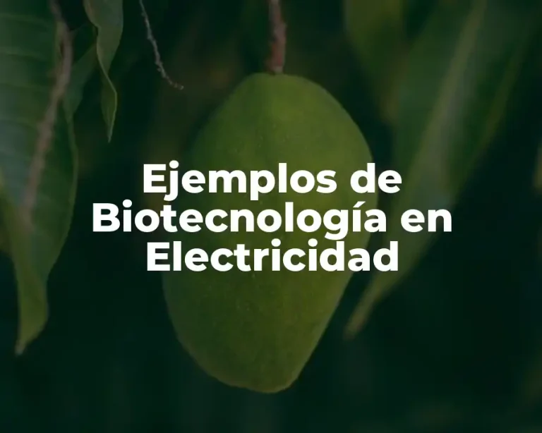 Ejemplos de Biotecnología en Electricidad