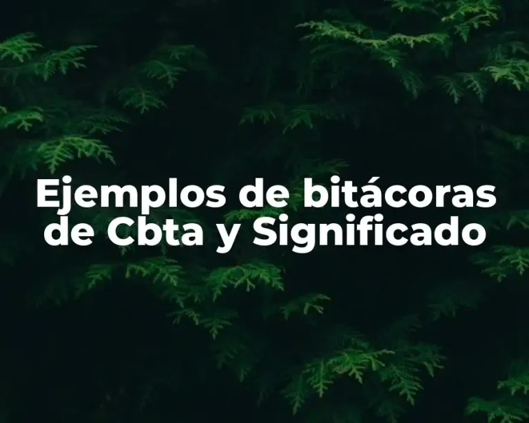 Ejemplos de bitácoras de Cbta y Significado