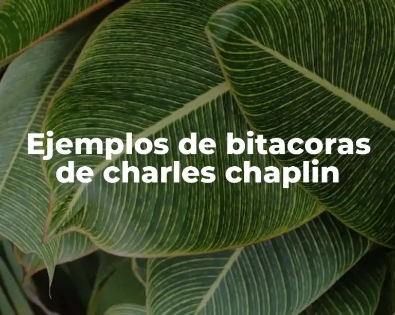 Ejemplos de bitacoras de charles chaplin