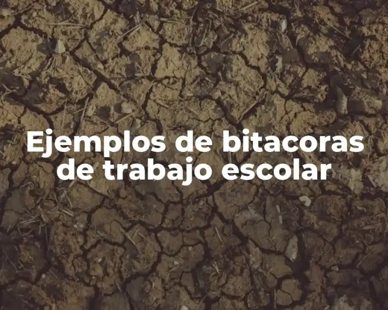 Ejemplos de bitacoras de trabajo escolar