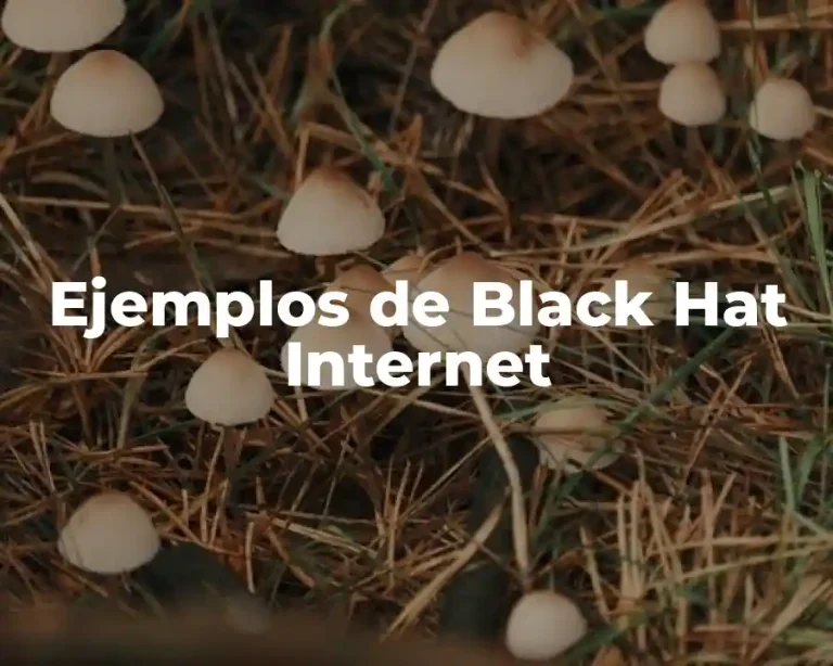 Ejemplos de Black Hat Internet