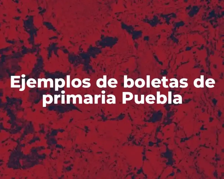 Ejemplos de boletas de primaria Puebla