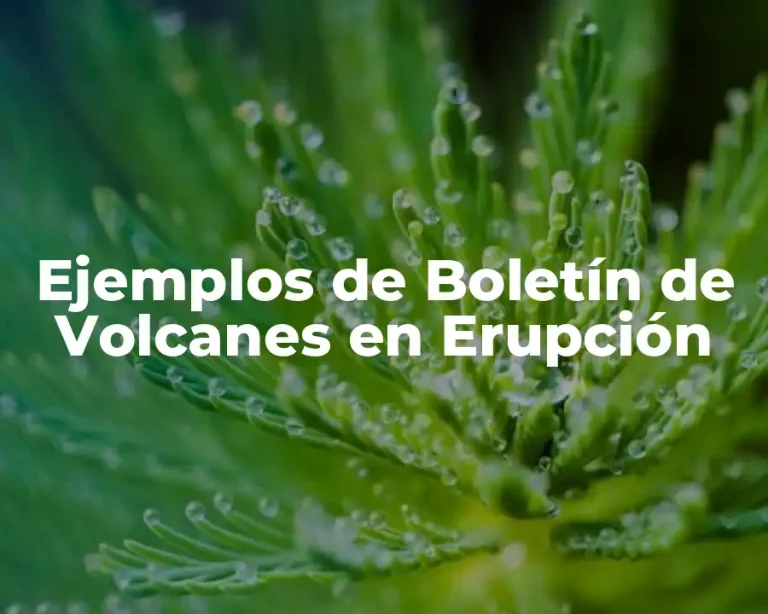 Ejemplos de Boletín de Volcanes en Erupción