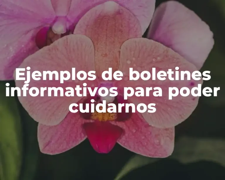 Ejemplos de boletines informativos para poder cuidarnos