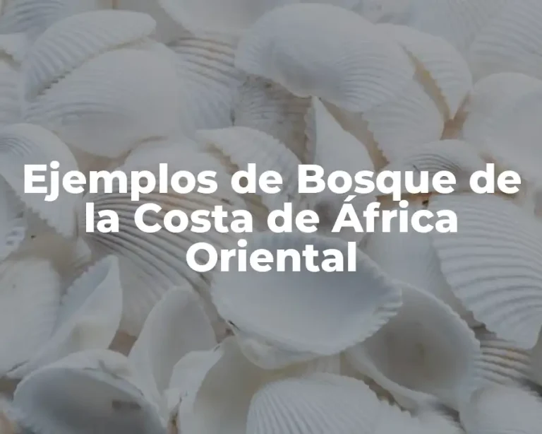 Ejemplos de Bosque de la Costa de África Oriental