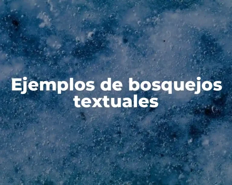 Ejemplos de bosquejos textuales