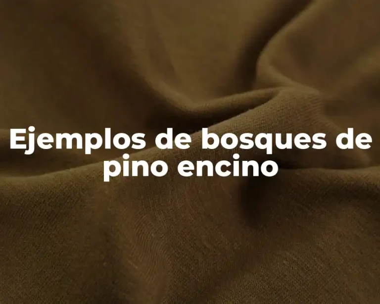 Ejemplos de bosques de pino encino